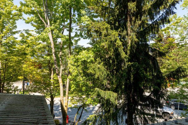 Quiet village 1 bedroom-walk to lifts! (TP254) - Image 16