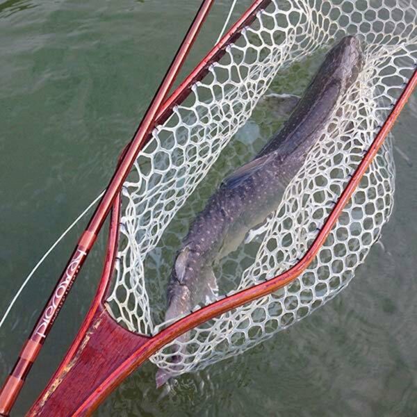Fishing Tour - Mini