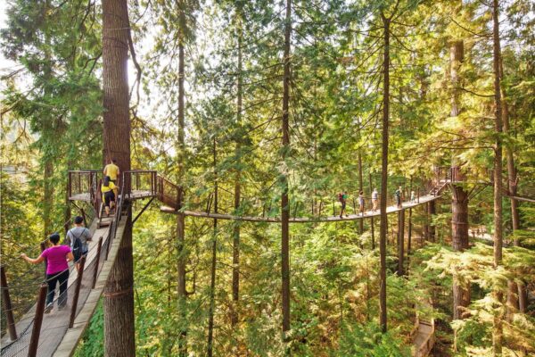 Capilano Bridge & Grouse Mountain - Private Group of 2 People