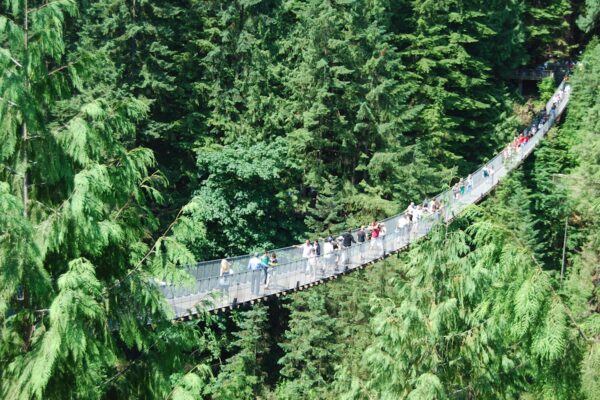 Capilano Bridge & Grouse Mountain - Private Group of 4 People