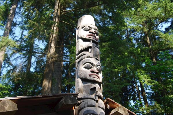 Capilano Bridge & Grouse Mountain - Private Group of 6 People