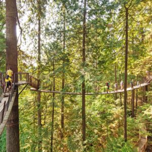 Capilano Bridge & Grouse Mountain - Private Group of 6 People