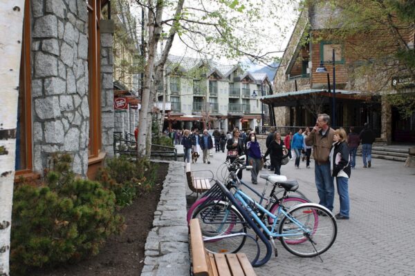 Whistler & Waterfalls - Private Group of 6 People