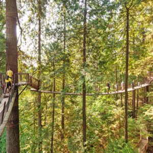 Vancouver & Capilano Bridge - Private Group of 2 People