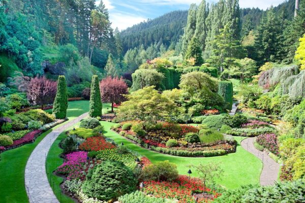 Victoria, Butchart Gardens & Ferry to Seattle - Private Group of 4 People
