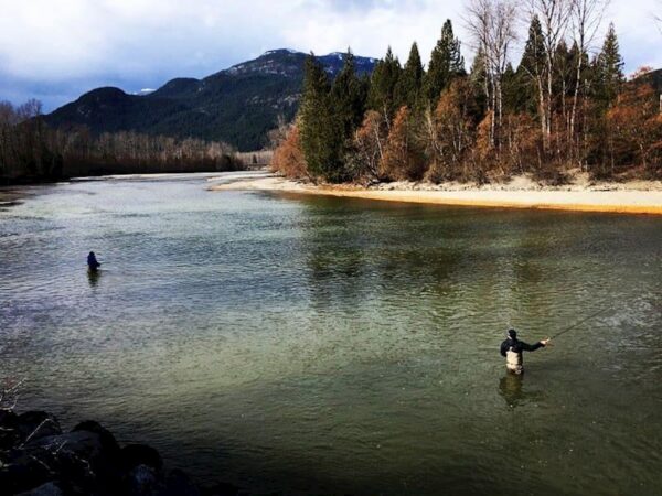 Half Day Walk & Wade (2+ pp rate)