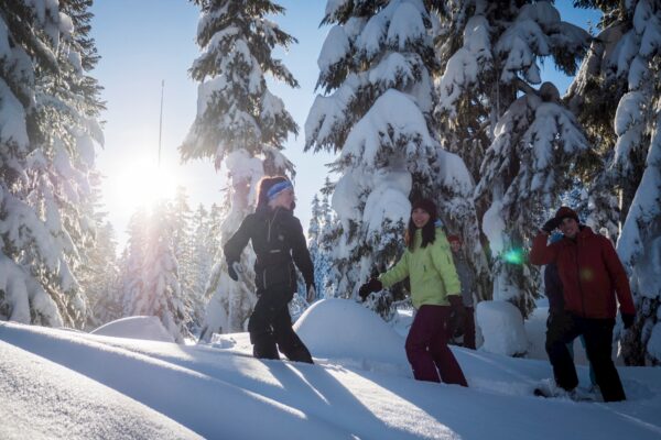 Natural Mystic Snoeshoe Tour