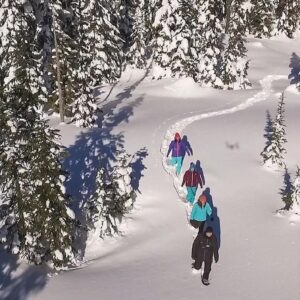 Ancient Cedars Snoeshoe Tour