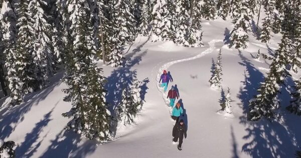 Ancient Cedars Snoeshoe Tour
