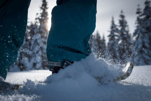 Ancient Cedars Snoeshoe Tour