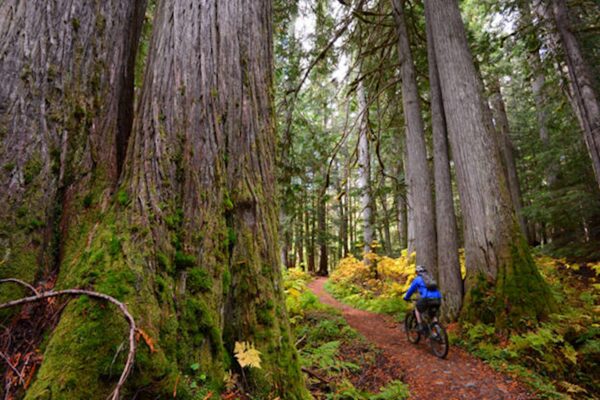 Private Guide - Full Day (7 hrs)