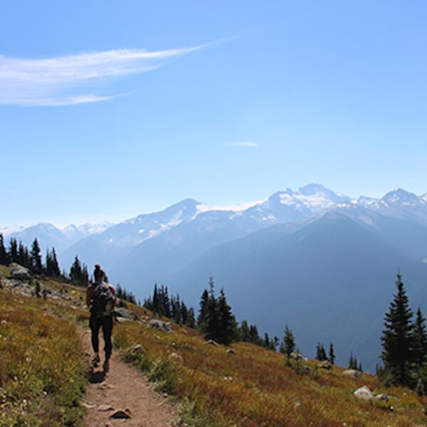 Private Guide - Full Day (7 hrs)